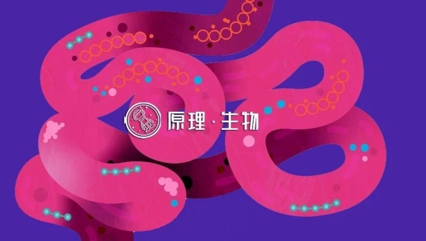 只有清明既是节气又是节日,2025新奥历史开奖记录9494000c,多元化方案执行策略_权威版V4.94